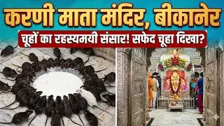 करणी माता मंदिर जहां 25000 से ज्यादा चुहे है बीकानेर, राजस्थान 🚩🚩🙏