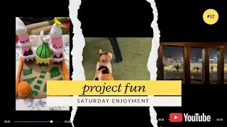 Project fun Saturday enjoyment vlog 