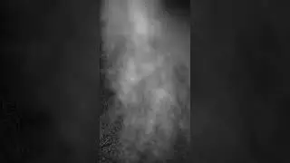 This Trail Cam Uploaded One Image&hellip; Then Stopped #scary #terrifyingtales #horror #horrortok #creepy