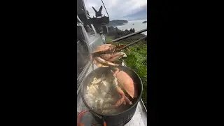 Fresh caught crab chowder