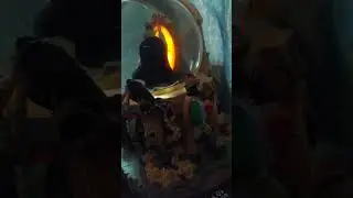 evil queen snowglobe test