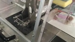 mushroom with tray packing machine, mushroom tray wrapping machine