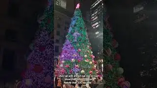 Experience The Magic Of Sydney's Largest Christmas Tree At Martin Place!