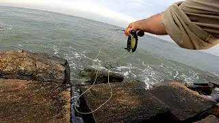 Striped Bass Jetty Fly Fishing & 