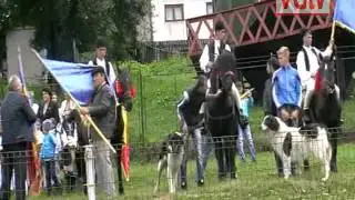 Festivalul ,, Expopastoralis” de ZILELE  COMUNEI RUCAR
