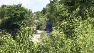 HumberBay Butterfly Habitat