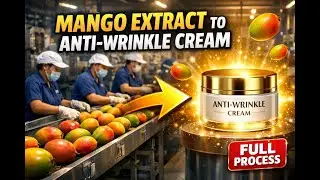 From Mango Extract to Anti-Wrinkle Cream &ndash; Full process explained