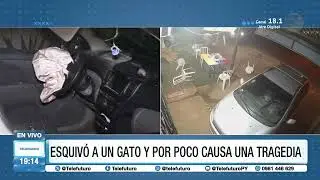 Esquivó un gato y por poco causa una tragedia