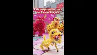 Robot dogs join lion dance for Chinese New Year