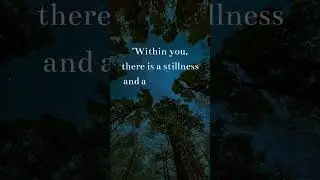 Within you, there is a stillness and a sanctuary