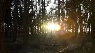 absorbing rays of the sun