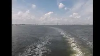 Jimmy Buffett-Sea Cruise