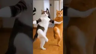 Funny Dancing Cat 😹💃 | Cute Cat Dance Shorts #shorts #cutecat #funnycats