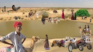  Pakistani Desert Village Life Near India Pakistan Border  Bijnot Cholistan Desert