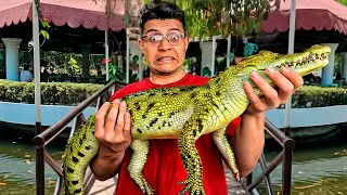 El restaurante m&aacute;s EXTRA&Ntilde;O del mundo: &iexcl;Cr&iacute;an peces y hay un cocodrilo suelto!