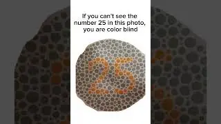 If You Can't See The Number 25 In This Photo, You Are Color Blind #blind #colorblindtest #colorblind