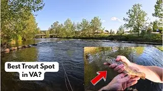 Fly Fishing the South River (Waynesboro, VA) | Trout on Nymphs