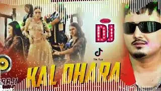 🎧 Nepali Dj || KAL DHARA || Mr. D || Tik Tok Viral Song || New Nepali Dj Song 2082 || DjRaaji Remix