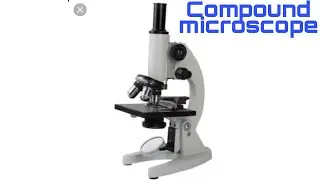 Compound microscope
