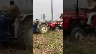 Farmatrac Massey Ferguson with trolley sugar cane load #shotrs