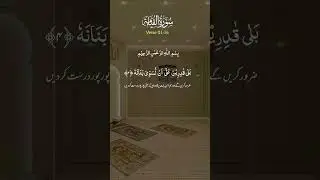 #deeni Quran Telawat #quranrecitation #quran #duaa #deen #makkah #masjid #masjidalharam #viralvideo