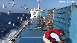240km - TAIWAN Sea Race