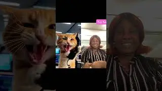 #viral #trending #relatable #funny #animals #pets
