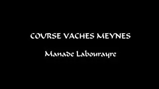 Course Vaches &agrave; la Manade Labourayre Meynes 29-09-2013