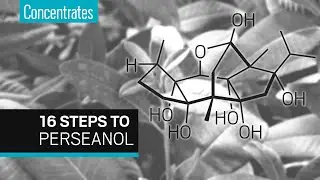 Making perseanol&mdash;a natural insecticide&mdash;in only 16 steps