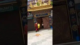 Surprised by all the monuments in Nepal #hug4love
