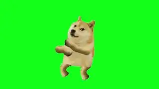 Cheems Dance Green Screen #cheems #cheemsdoge #dance #dancevideo #cheemstamil #shorts #youtubeshorts