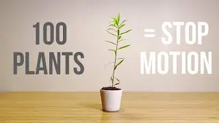 I used 100 Plants to do a Stop Motion - Behind The Scenes