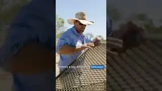 Remote Water Monitoring Made Easy