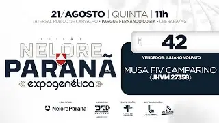 LOTE 42 JHVM 27358