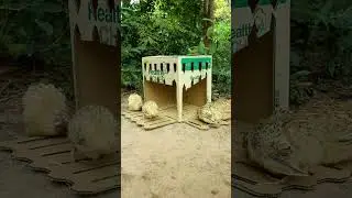 The best and amazing quail traps #shorts #create #traps