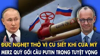 Đức nghẹt thở vì cú siết khí của Mỹ: Merz quỳ gối cầu cứu Putin trong tuyệt vọng, EU rạn nứt