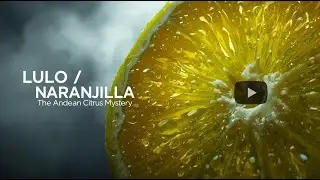 Lulo (Naranjilla): The Andean Green Gem with a Flavor Like No Other