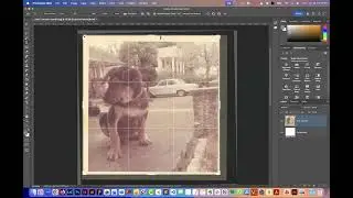 Photoshop Activity: Retouching &ndash;&nbsp;File Set up, Image Size, Resolution + Cropping