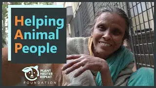 Helping Animal People | Beena Di | Plant Neuter Repeat Foundation