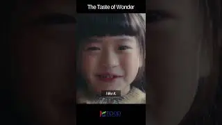 The Taste of Wonder, K-FOOD!