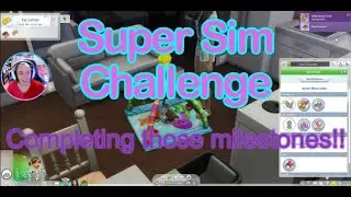 Super Sim Challenge ~ Part 2