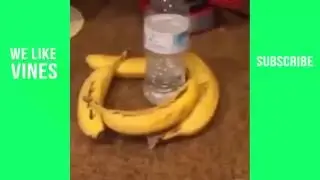 Epic Water Bottle Flip Challenge Vines 2016