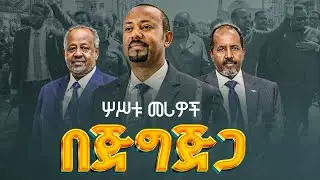 ጠቅላይ ሚኒስትር ዐቢይ አሕመድ(ዶ/ር) ለሶማሊያ እና ጅቡቲ ፕሬዝዳንቶች በጅግጅጋ ያደረጉት አቀባበል ETV | EBC | EBCDOTSTREAM