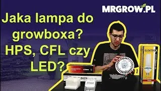 Jaką lampę wybrać do uprawy w growboxie? HPS, LED czy CFL?