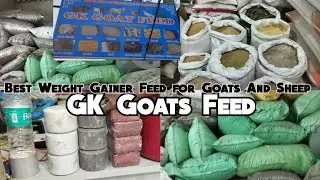 GK Goats Feed | All Types of Weight Gainer Food for Goats & Sheep | Hasan Nagar HYD