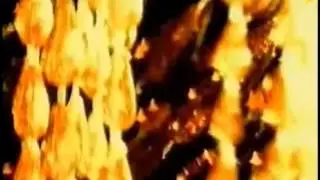 [ARCHIVE] Viva Zwei Clips Collection 4