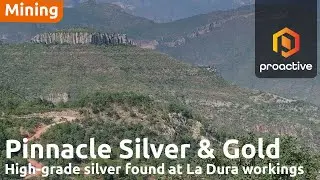 Pinnacle Silver and Gold расширяет 500-метровую минерализованную зону в Эль-Потреро с помощью нов...