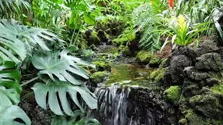 Relaxing sound of running water
