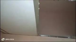 Termite affected in fall ceiling
