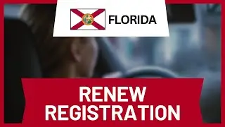 How to Renew Car Registration Online Florida (Guide)